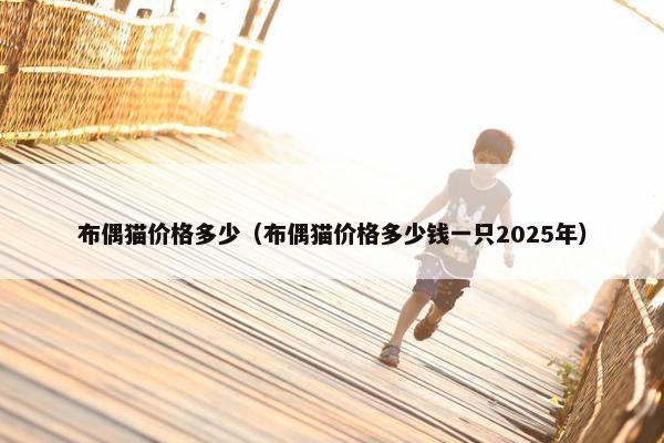 布偶猫价格多少（布偶猫价格多少钱一只2025年）