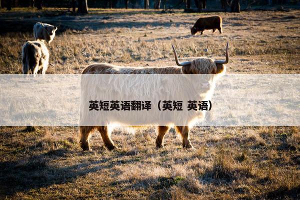 英短英语翻译（英短 英语）