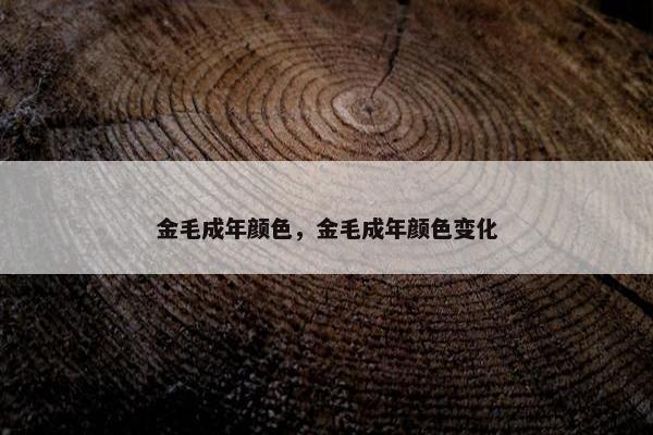 金毛成年颜色，金毛成年颜色变化