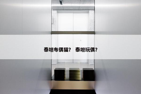 玩偶