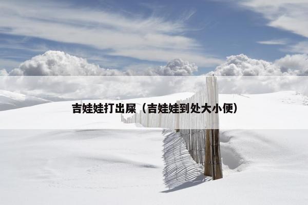 吉娃娃打出屎(吉娃娃到处大小便)