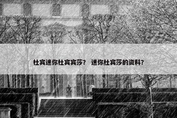 杜宾迷你杜宾宾莎？ 迷你杜宾莎的资料？