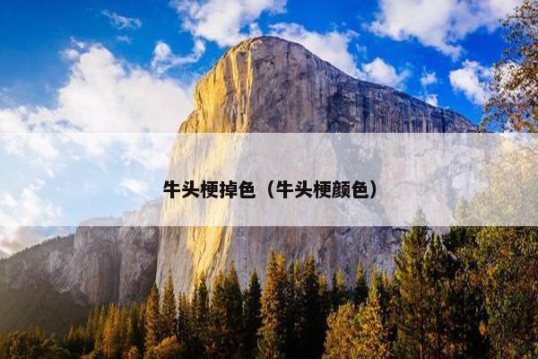 圣伯纳