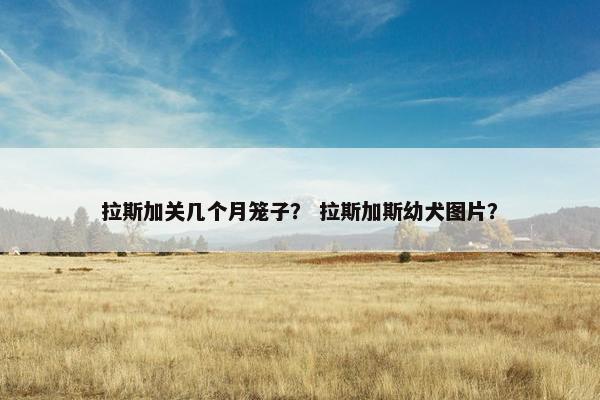 拉斯加关几个月笼子？ 拉斯加斯幼犬图片？