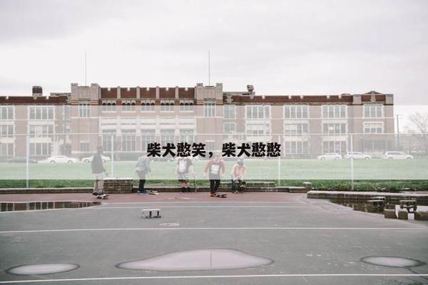 柴犬憨笑，柴犬憨憨
