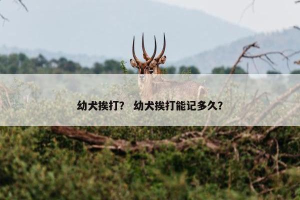心理