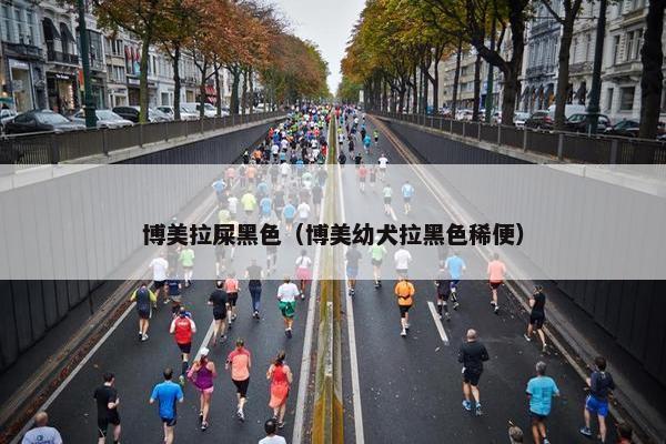 博美拉屎黑色（博美幼犬拉黑色稀便）
