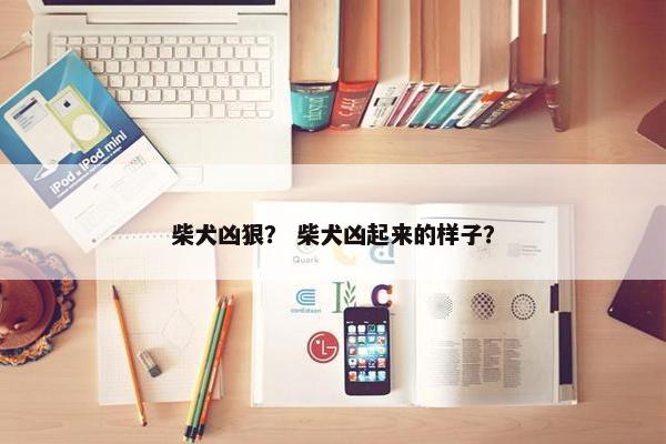 柴犬凶狠？ 柴犬凶起来的样子？