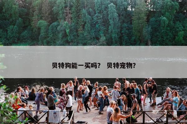 贝特狗能一买吗？ 贝特宠物？
