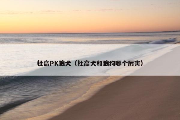 杜高PK狼犬（杜高犬和狼狗哪个厉害）
