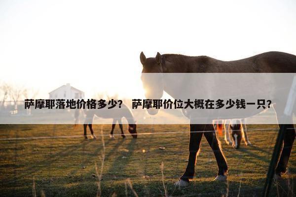萨摩耶落地价格多少? 萨摩耶价位大概在多少钱一只?