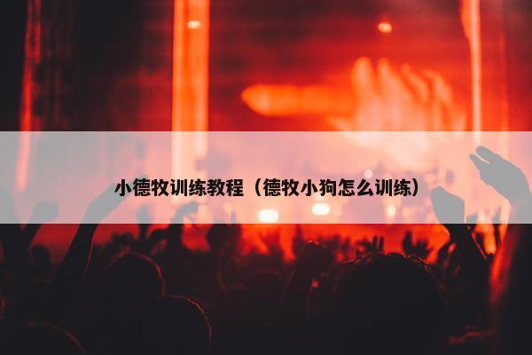 小德牧训练教程（德牧小狗怎么训练）