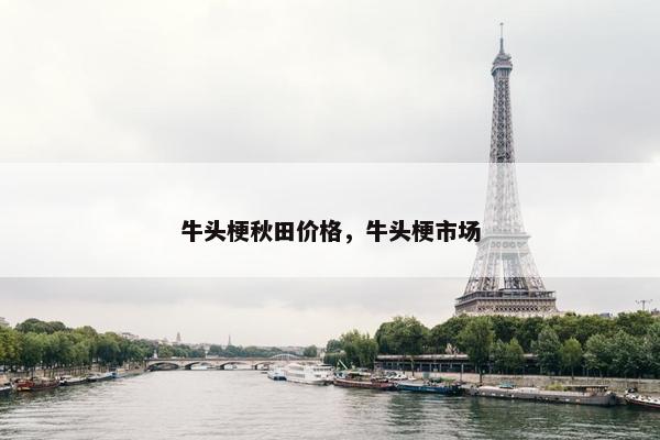 牛头梗秋田价格，牛头梗市场