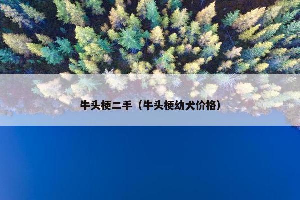 牛头梗二手（牛头梗幼犬价格）