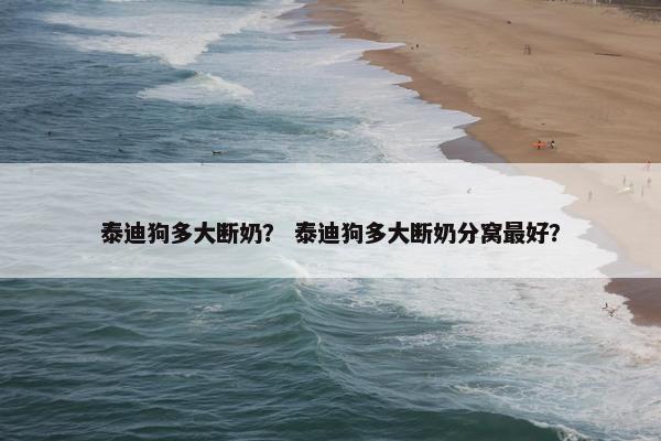 泰迪狗多大断奶？ 泰迪狗多大断奶分窝最好？