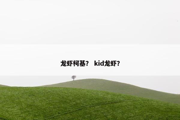 龙虾柯基？ kid龙虾？