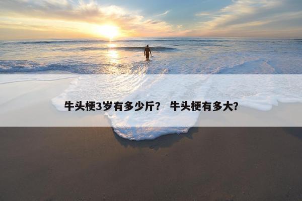 牛头梗3岁有多少斤？ 牛头梗有多大？