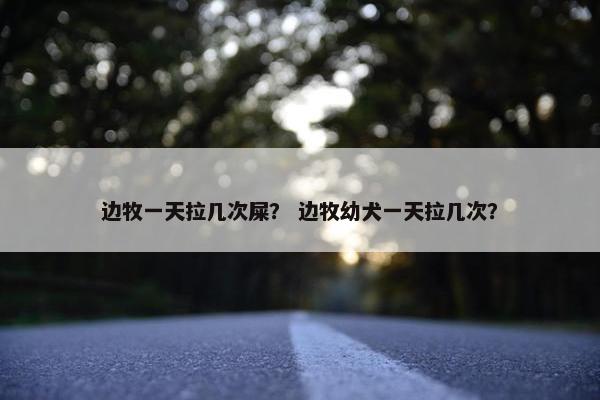 边牧一天拉几次屎？ 边牧幼犬一天拉几次？