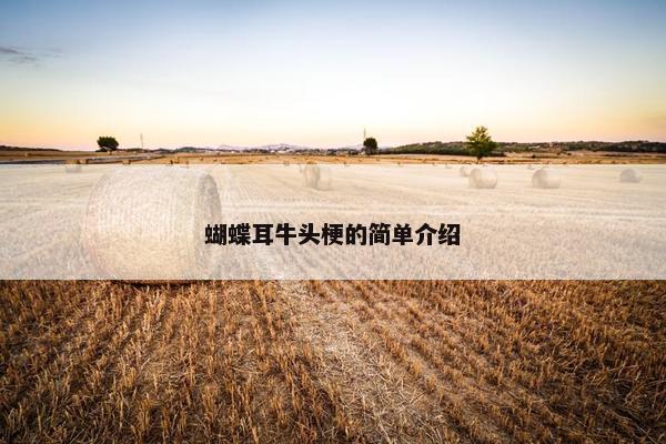 蝴蝶