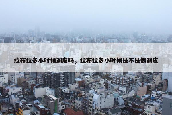 拉布拉多小时候调皮吗，拉布拉多小时候是不是很调皮