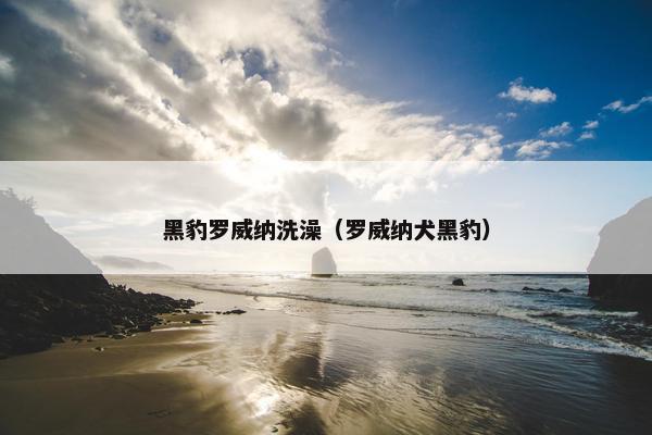 黑豹罗威纳洗澡（罗威纳犬黑豹）
