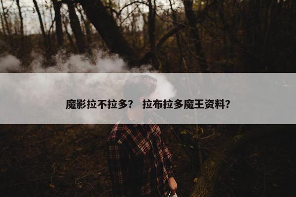 魔影拉不拉多？ 拉布拉多魔王资料？