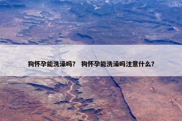 狗怀孕能洗澡吗？ 狗怀孕能洗澡吗注意什么？