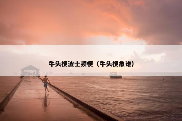 牛头梗波士顿梗（牛头梗象谁）