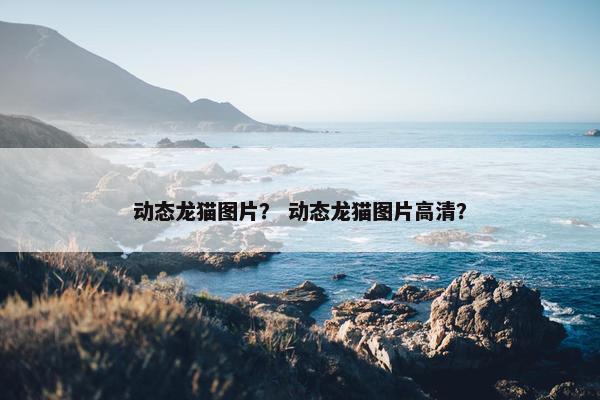 动态龙猫图片？ 动态龙猫图片高清？