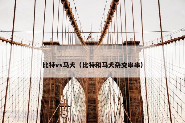 比特vs马犬（比特和马犬杂交串串）