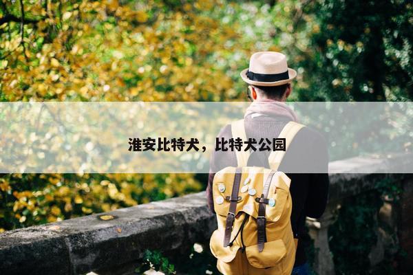 淮安比特犬，比特犬公园
