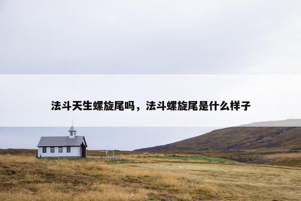 法斗天生螺旋尾吗，法斗螺旋尾是什么样子