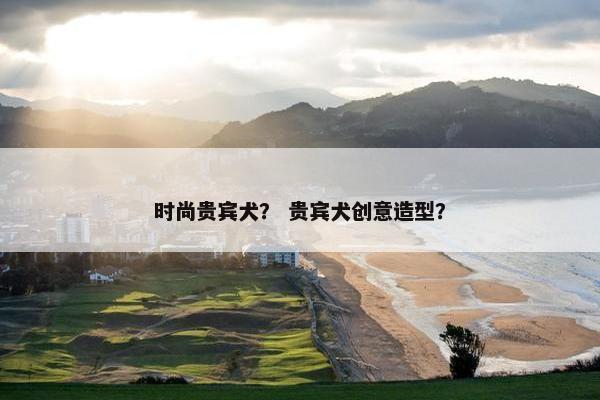 时尚贵宾犬？ 贵宾犬创意造型？