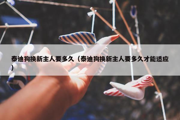 泰迪狗换新主人要多久（泰迪狗换新主人要多久才能适应）