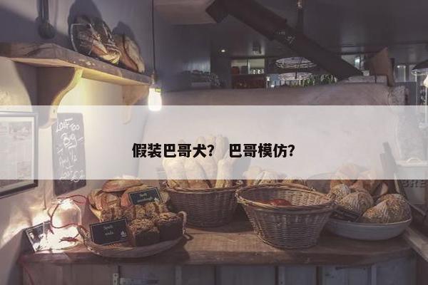 假装巴哥犬？ 巴哥模仿？