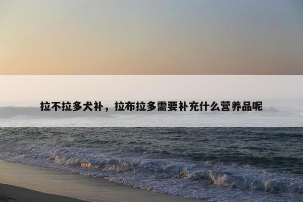 拉不拉多犬补，拉布拉多需要补充什么营养品呢