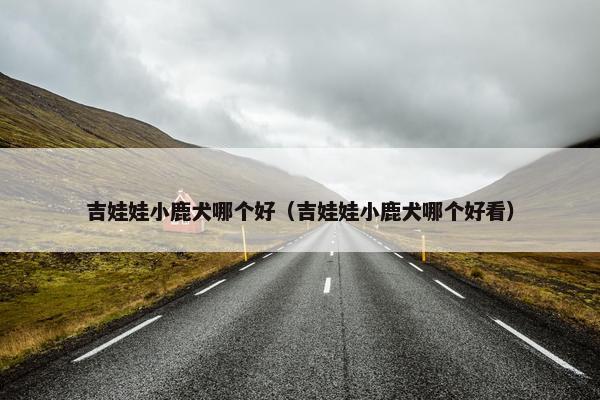 吉娃娃小鹿犬哪个好（吉娃娃小鹿犬哪个好看）