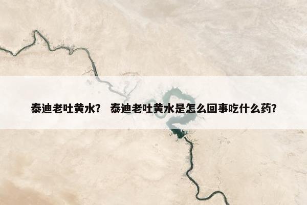 泰迪老吐黄水？ 泰迪老吐黄水是怎么回事吃什么药？