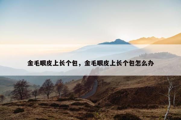 金毛眼皮上长个包，金毛眼皮上长个包怎么办