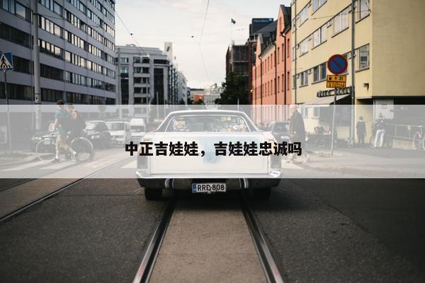 中正吉娃娃，吉娃娃忠诚吗