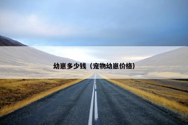 茶杯