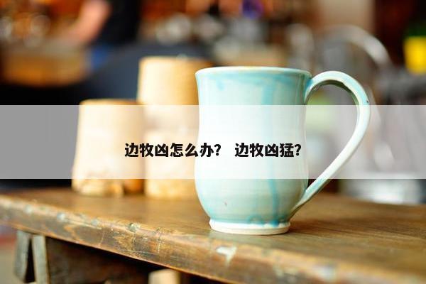 边牧凶怎么办？ 边牧凶猛？
