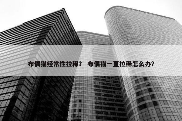 布偶猫经常性拉稀？ 布偶猫一直拉稀怎么办？