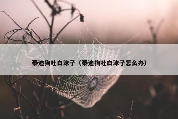 泰迪狗吐白沫子（泰迪狗吐白沫子怎么办）
