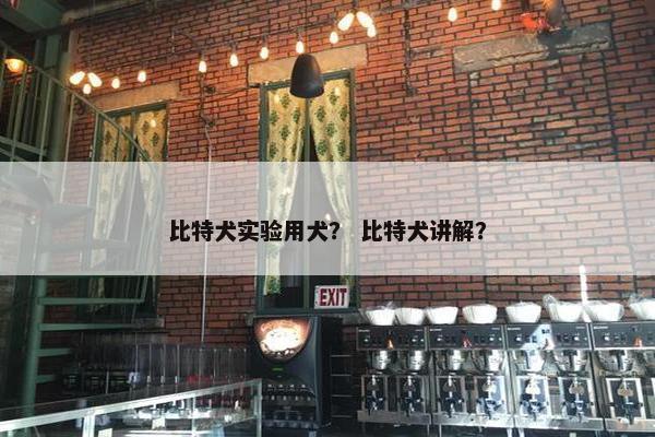 比特犬实验用犬？ 比特犬讲解？
