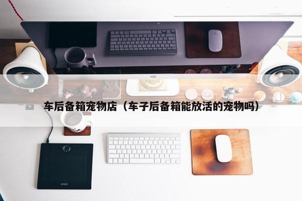 车后备箱宠物店（车子后备箱能放活的宠物吗）