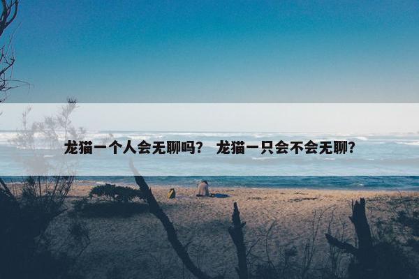 龙猫一个人会无聊吗？ 龙猫一只会不会无聊？