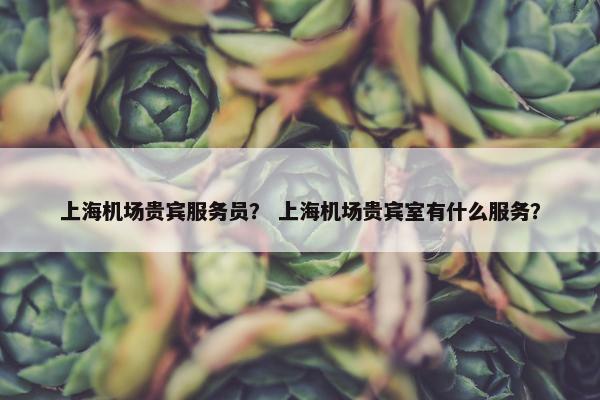 上海机场贵宾服务员？ 上海机场贵宾室有什么服务？
