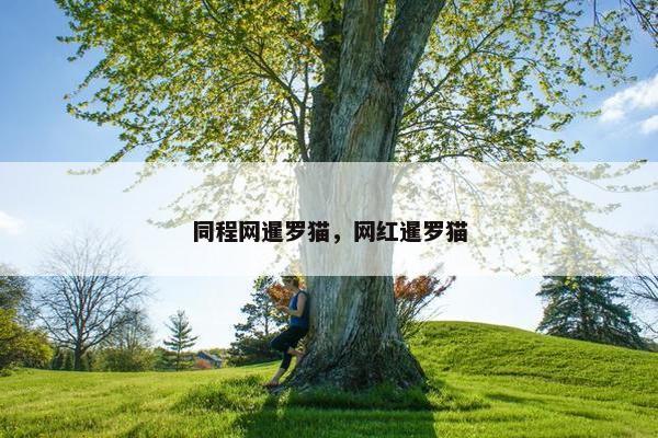 携程