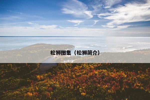 松狮图集（松狮简介）